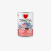 DISUGUAL DOG FRUIT - SALMON Y ARANDANOS